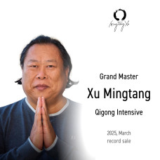 Intensive practice "Zhong Yuan Qigong"