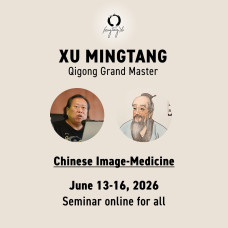 Seminar Chinese Image Medicine, Xu Mingtang